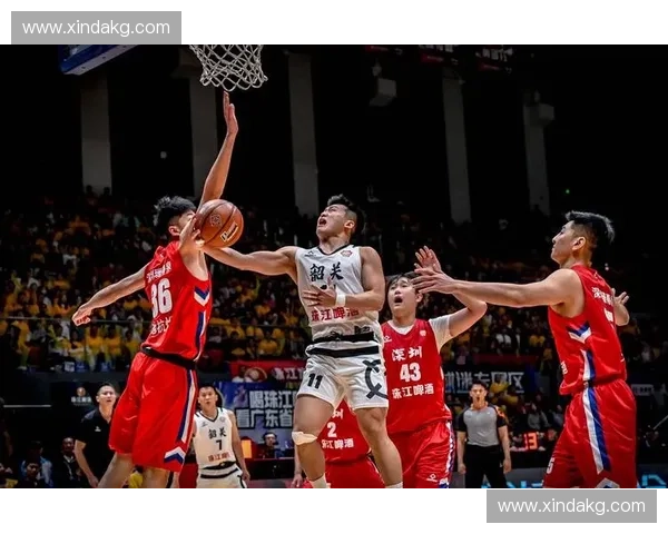 2025赛季广东CBA主场比赛完整赛程安排与赛事亮点解析